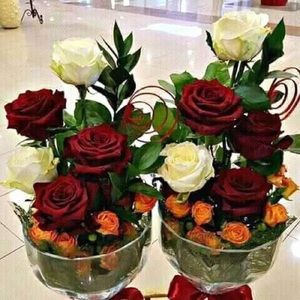 Meet your Posher, Diega